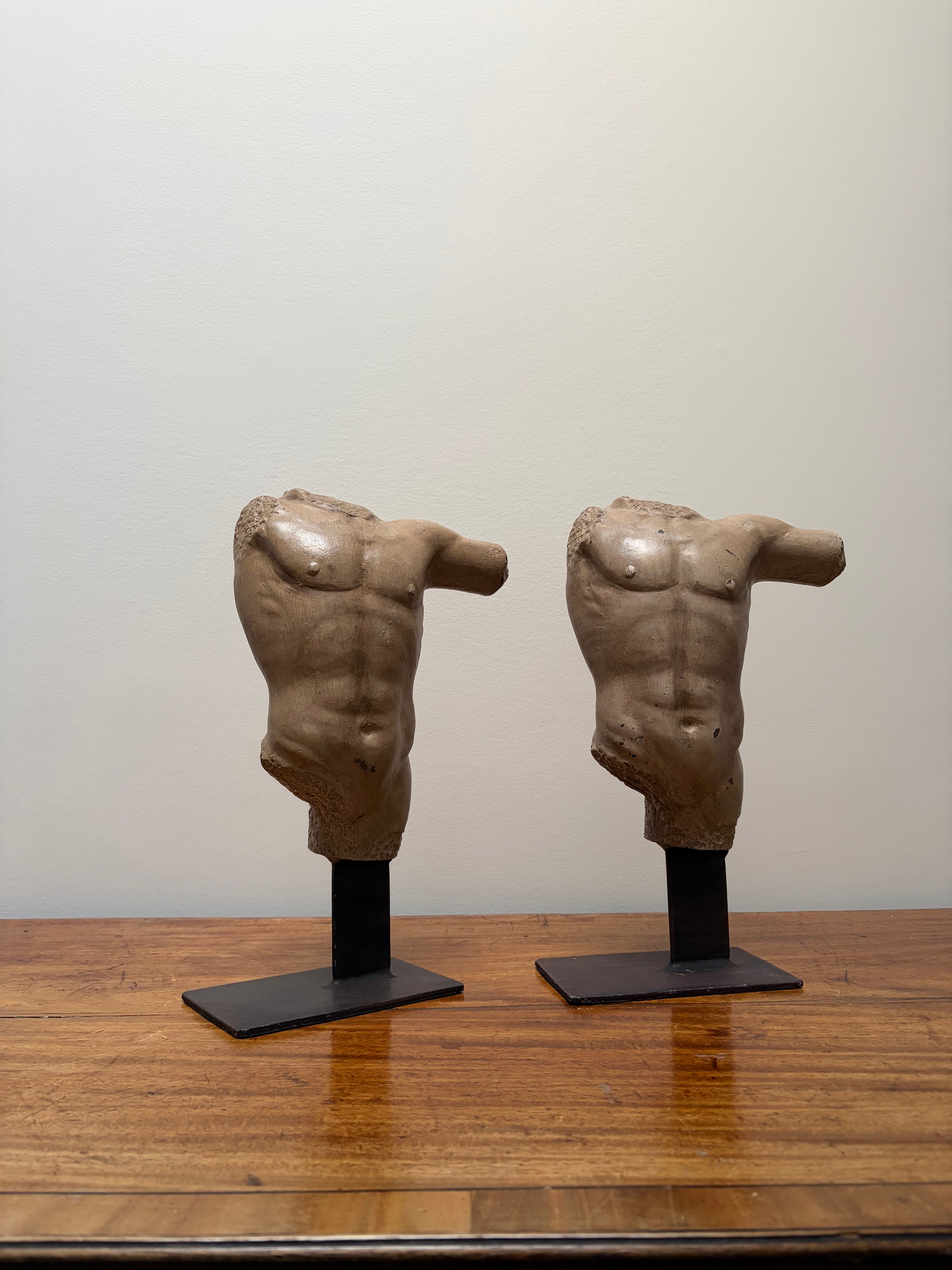 Spelter male Torso pair.
