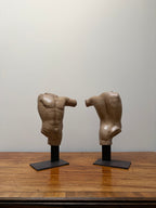 Spelter male Torso pair.