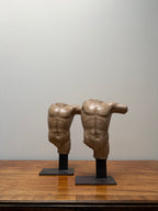 Spelter male Torso pair.