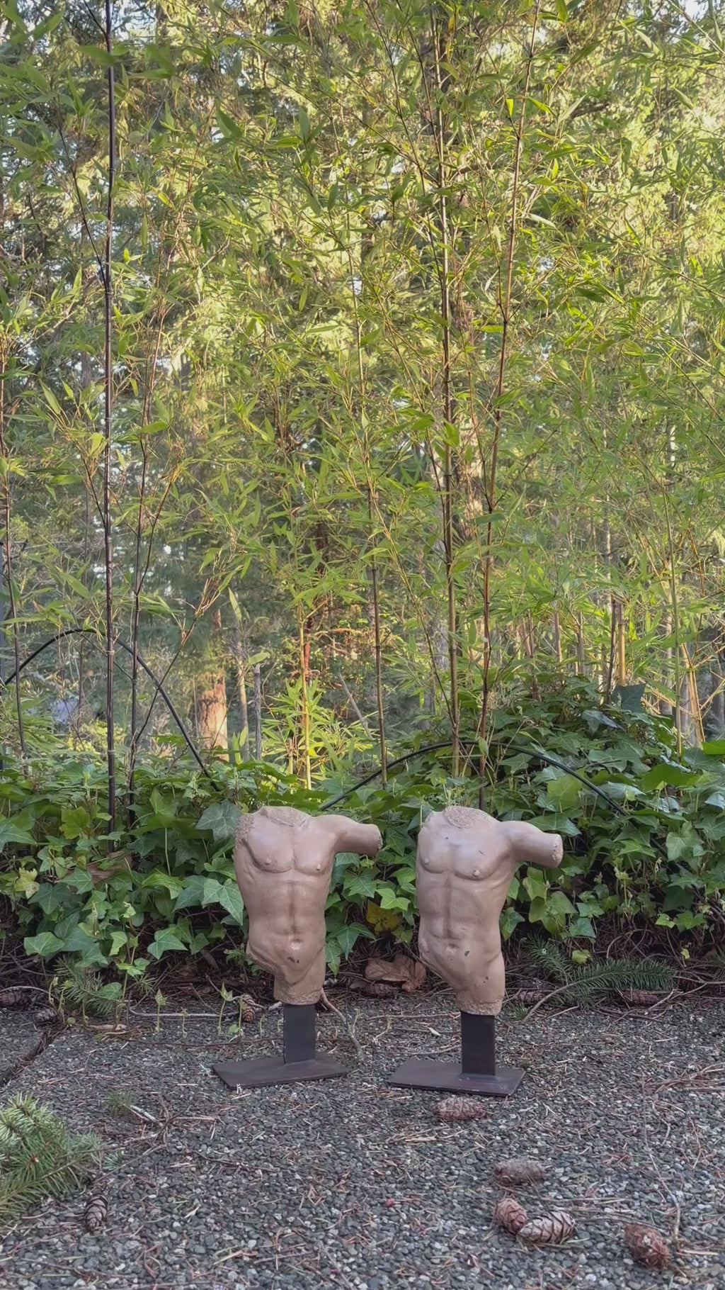 Spelter male Torso pair.